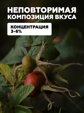 Ароматизатор DARK X SIZE SOLO 10мл - Шиповник
